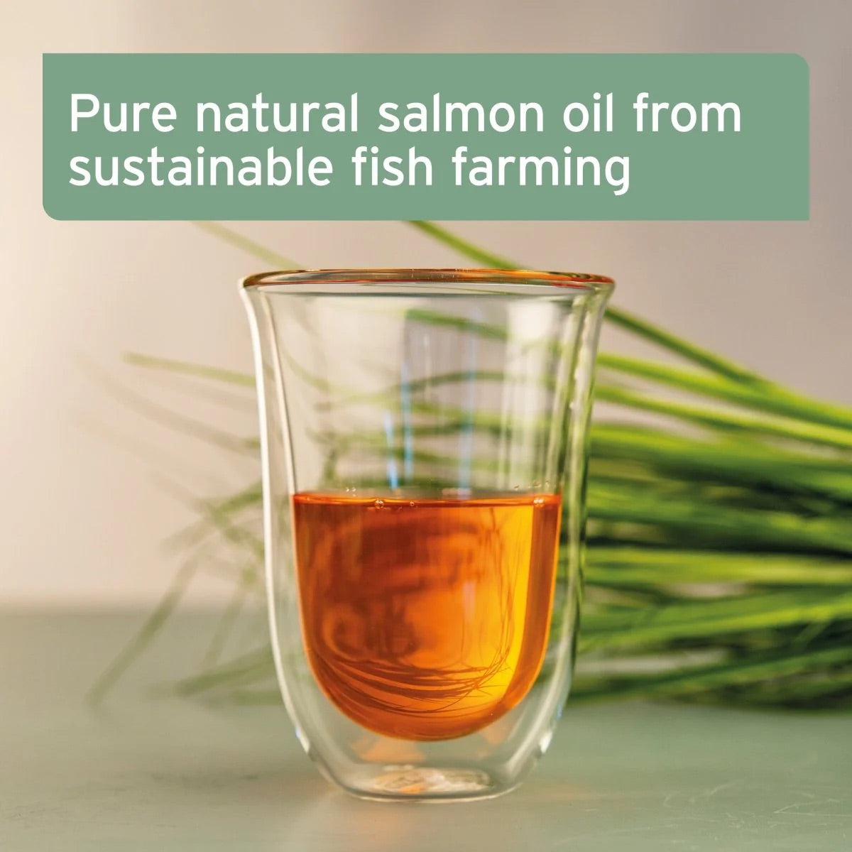 Salmon Oil for Dogs