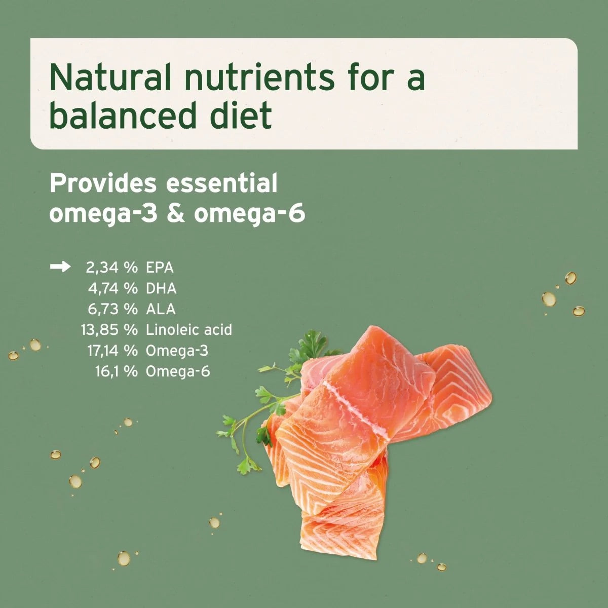 Salmon Oil for Dogs