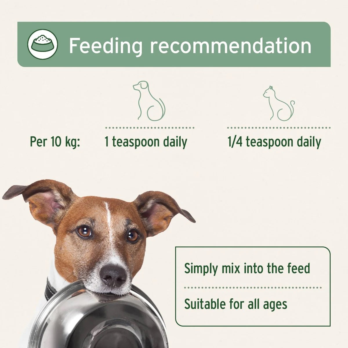 Salmon Oil for Dogs