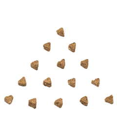 Triangular-shaped RUBY REESE TASTY SHRIMP natural dog treats arranged in a triangle-shape on a flat surface